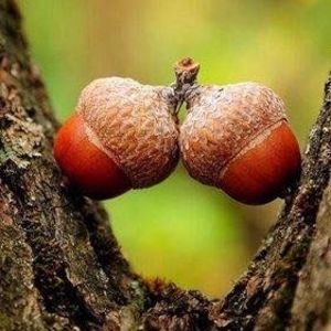 Meet your Posher, Judy